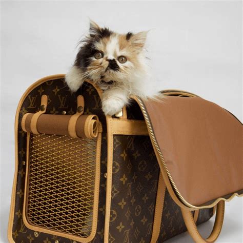 lv dog bed|authentic Louis Vuitton pet carrier.